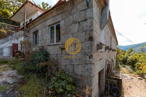 Oportunidade Única no Douro Verde – Quinta com Casa em Pedra, Terreno Agrícola e Nascente de Água