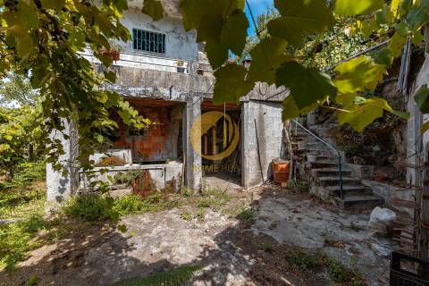 Oportunidade Única no Douro Verde – Quinta com Casa em Pedra, Terreno Agrícola e Nascente de Água