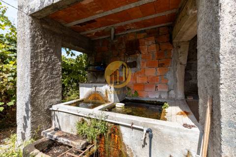 Oportunidade Única no Douro Verde – Quinta com Casa em Pedra, Terreno Agrícola e Nascente de Água