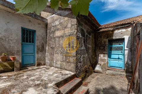 Oportunidade Única no Douro Verde – Quinta com Casa em Pedra, Terreno Agrícola e Nascente de Água