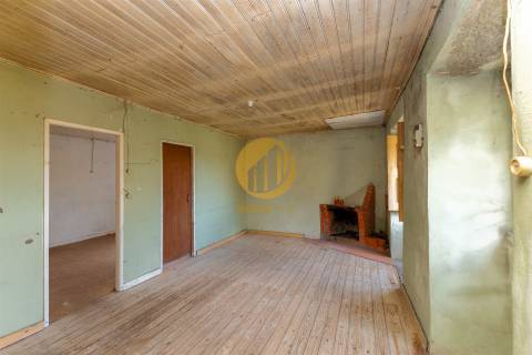 Oportunidade Única no Douro Verde – Quinta com Casa em Pedra, Terreno Agrícola e Nascente de Água