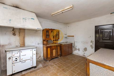 Oportunidade Única no Douro Verde – Quinta com Casa em Pedra, Terreno Agrícola e Nascente de Água