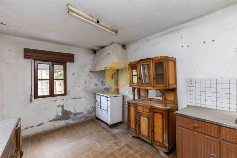 Oportunidade Única no Douro Verde – Quinta com Casa em Pedra, Terreno Agrícola e Nascente de Água