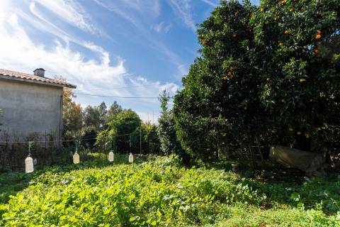 Oportunidade Única! Moradia para Reabilitar com Terreno Superior a 6.000 m²