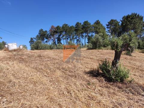 Terreno com projeto para 5+5 apartamentos