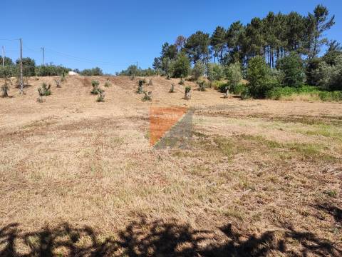 Terreno com projeto para 5+5 apartamentos