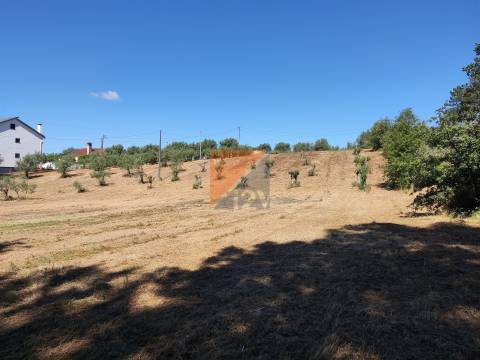 Terreno com projeto para 5+5 apartamentos