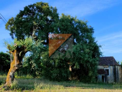 Andar Moradia T3 Venda em Gondemaria e Olival,Ourém