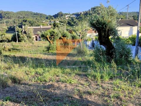 Andar Moradia T3 Venda em Gondemaria e Olival,Ourém