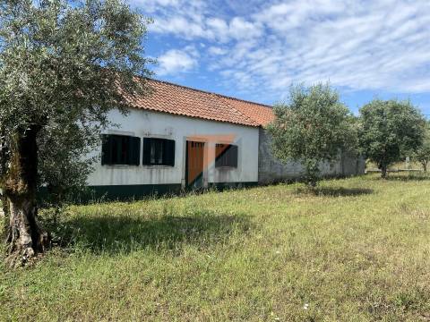 Moradia Isolada T2 Venda em Chão de Couce,Ansião