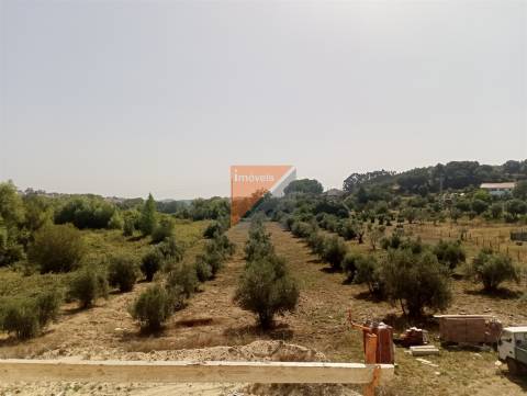 Moradia Geminada T4 Venda em Nossa Senhora da Piedade,Ourém