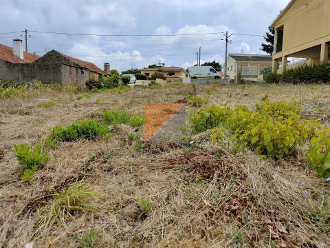 Lote de Terreno  Venda em Santa Catarina da Serra e Chainça,Leiria
