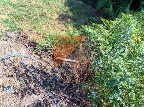 Terreno Urbano  Venda em Colmeias e Memória,Leiria