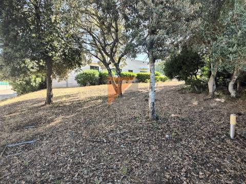 Moradia Isolada T3+2 Venda em Fátima,Ourém