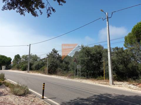 Terreno Para Construção  Venda em Fátima,Ourém