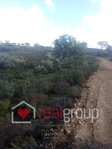 Herdade T5 Venda em Santa Clara-a-Nova e Gomes Aires,Almodôvar