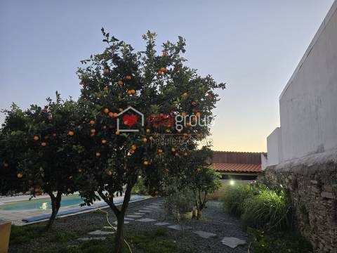 Moradia Isolada T4 Venda em Chancelaria,Alter do Chão