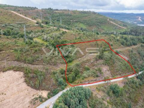 Comprar Quintinha em Montalegre - VIVAS Imobiliária