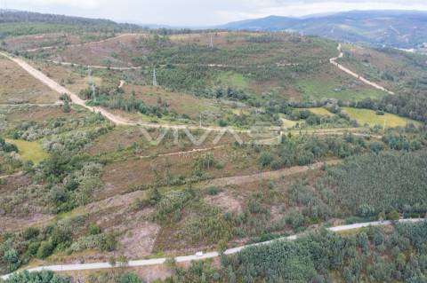 Comprar Quintinha em Montalegre - VIVAS Imobiliária