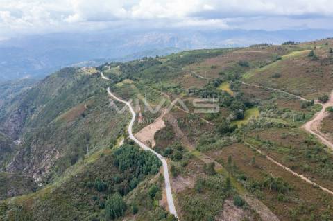 Comprar Quintinha em Montalegre - VIVAS Imobiliária