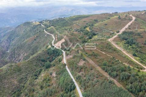 Comprar Quintinha em Montalegre - VIVAS Imobiliária