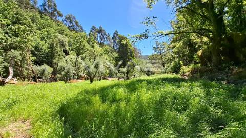 Moradia em pedra para recuperar no Parque Nacional da Peneda Gerês