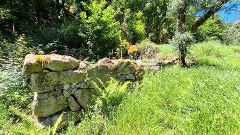 Moradia em pedra para recuperar no Parque Nacional da Peneda Gerês