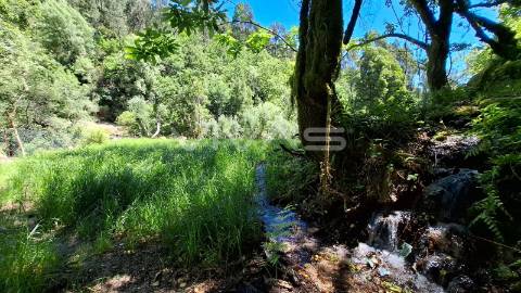 Moradia em pedra para recuperar no Parque Nacional da Peneda Gerês