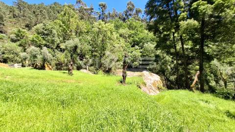 Moradia em pedra para recuperar no Parque Nacional da Peneda Gerês