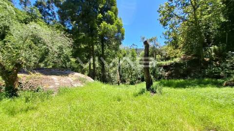 Moradia em pedra para recuperar no Parque Nacional da Peneda Gerês