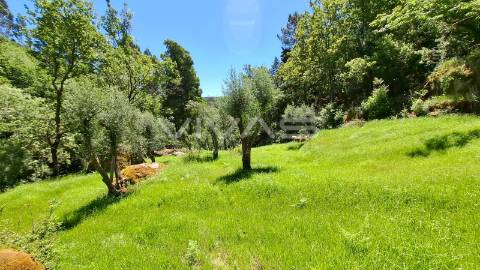 Moradia em pedra para recuperar no Parque Nacional da Peneda Gerês