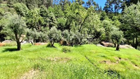 Moradia em pedra para recuperar no Parque Nacional da Peneda Gerês