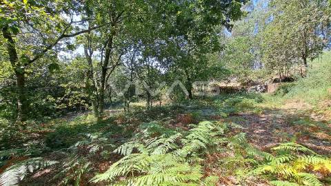 Terreno  Venda em Caldelas, Sequeiros e Paranhos,Amares