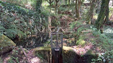Terreno  Venda em Caldelas, Sequeiros e Paranhos,Amares