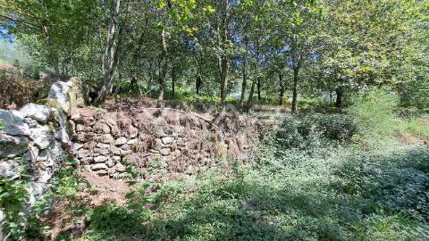 Terreno  Venda em Caldelas, Sequeiros e Paranhos,Amares