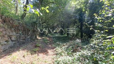 Terreno  Venda em Caldelas, Sequeiros e Paranhos,Amares