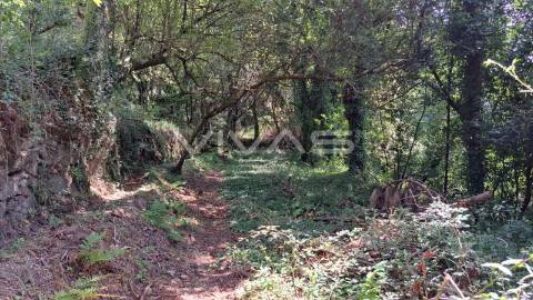 Terreno  Venda em Caldelas, Sequeiros e Paranhos,Amares