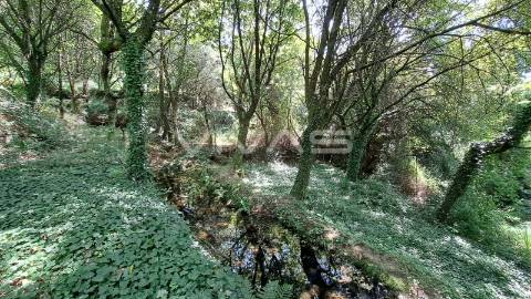 Terreno  Venda em Caldelas, Sequeiros e Paranhos,Amares