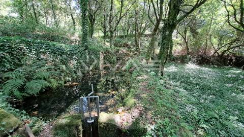 Terreno  Venda em Caldelas, Sequeiros e Paranhos,Amares