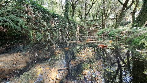 Terreno  Venda em Caldelas, Sequeiros e Paranhos,Amares
