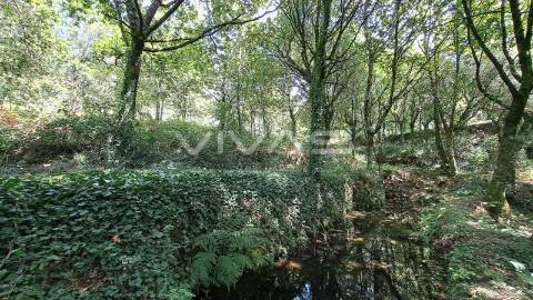 Terreno  Venda em Caldelas, Sequeiros e Paranhos,Amares