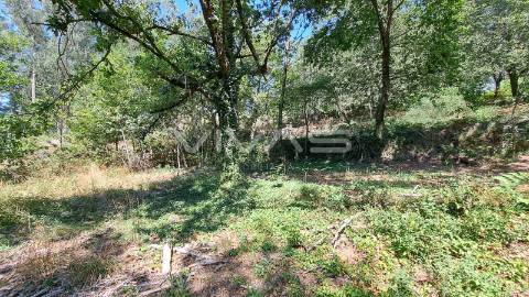 Terreno  Venda em Caldelas, Sequeiros e Paranhos,Amares