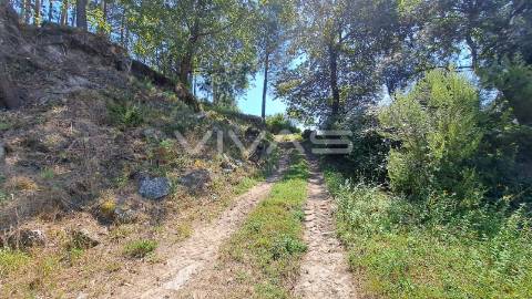 Terreno  Venda em Caldelas, Sequeiros e Paranhos,Amares