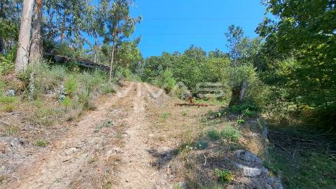 Terreno  Venda em Caldelas, Sequeiros e Paranhos,Amares