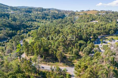 Terreno Rústico  Venda em Pico,Vila Verde