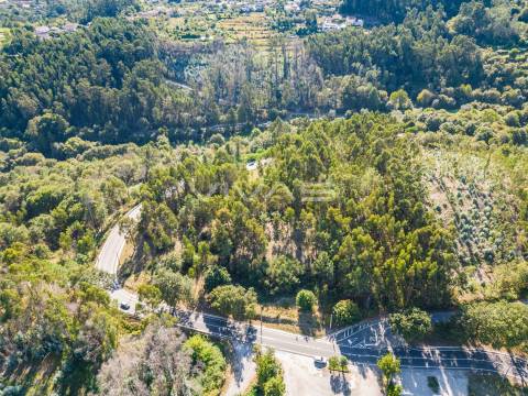 Terreno Rústico  Venda em Pico,Vila Verde