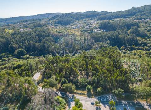 Terreno Rústico  Venda em Pico,Vila Verde