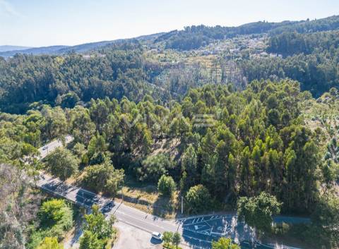 Terreno Rústico  Venda em Pico,Vila Verde