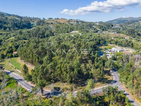 Terreno Rústico  Venda em Pico,Vila Verde