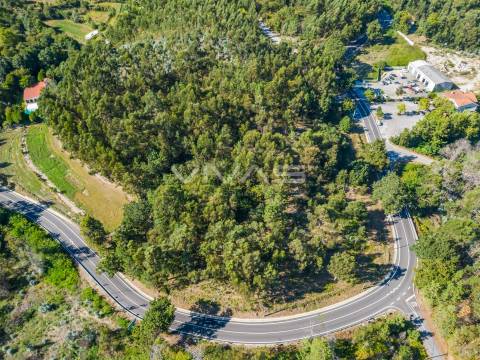 Terreno Rústico  Venda em Pico,Vila Verde